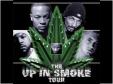THE UP IN SMOKE